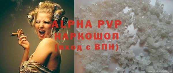 стаф Бородино