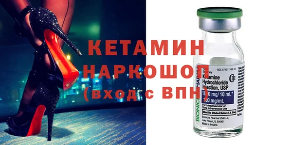 стаф Бородино