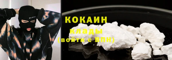 стаф Бородино