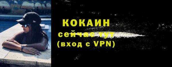 стаф Бородино