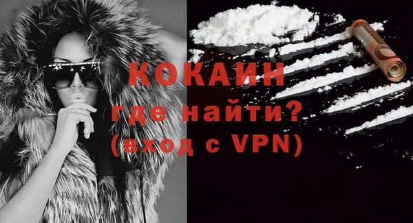 стаф Бородино