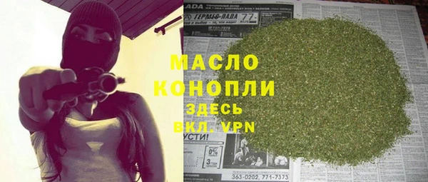 стаф Бородино