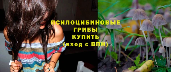 прущие крисы Бугульма