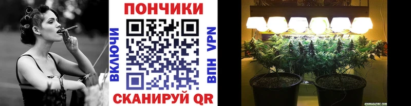 купить наркотик  Ковылкино  МАРИХУАНА Ganja 